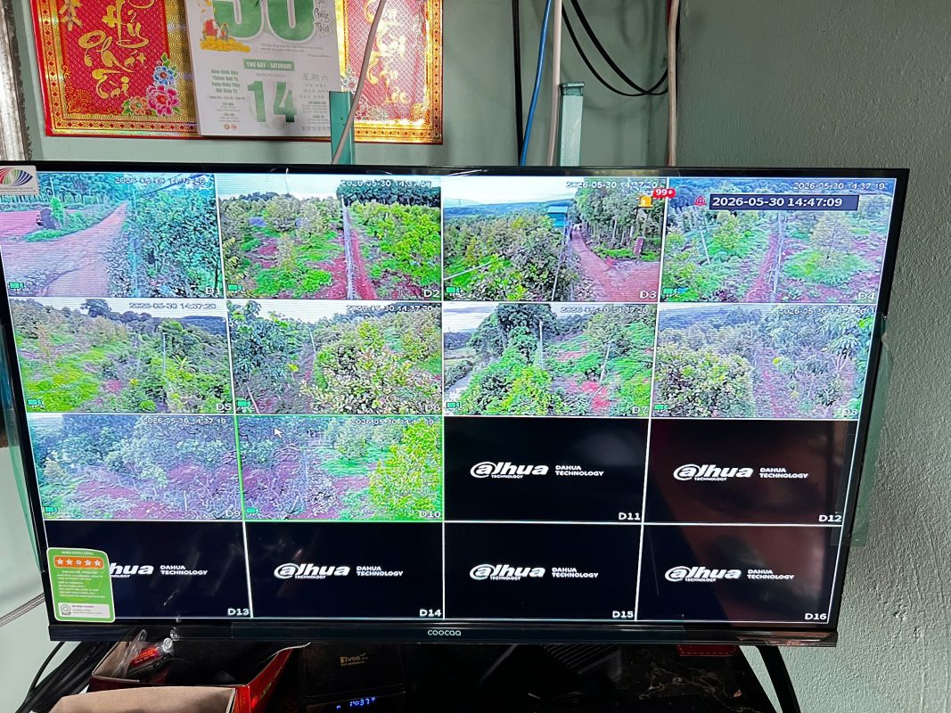 Giải Pháp Camera Dahua WizColor Giám Sát Vườn Cây 