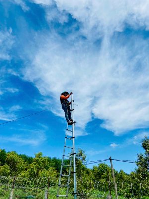 Lắp đặt camera Dahua WizColor cho vườn cây tại Gia Lai