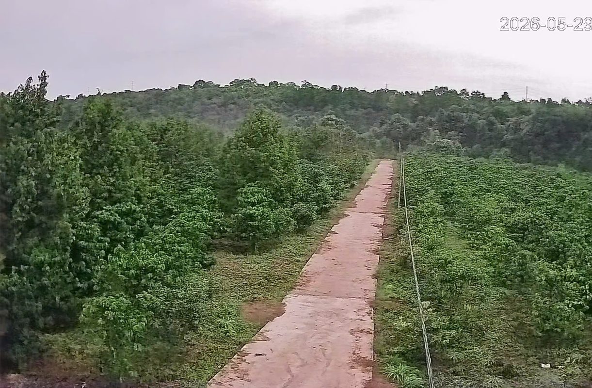 camera Wizcolor ban dem